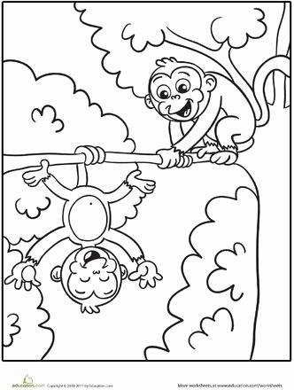 Luxury Monkey Coloring Books