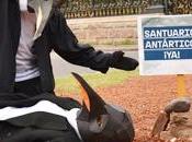 🐧¡Lograste inesperado!🐧