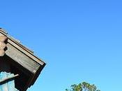 Cuándo barato volar Orlando Angeles