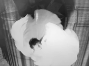 Patrick Watson: Estrena vídeo/single Melody Noir