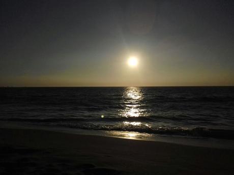 ๐ฑ๐๐๐๐ผDE VUELTA A CASAโฆDE VUELTA AL BLOG!! ๐ฑ๐๐๐๐ผ ๐ฑ๐๐๐๐ผDE VUELTA A CASAโฆDE VUELTA AL BLOG!! ๐ฑ๐๐๐๐ผ