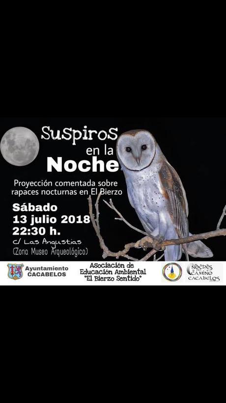 Planes de ocio en Ponferrada y El Bierzo para el fin de semana. 13 al 15 de julio 2018 Planes de ocio en Ponferrada y El Bierzo para el fin de semana. 13 al 15 de julio 2018