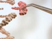 hitos edición genética Giannella Espinoza