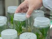 biotecnología, nexo entre empresarios académicos Aminael Sánchez Rodríguez