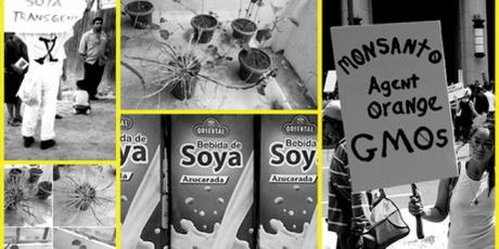 Ecuador y su vínculo ineludible con los transgénicos | Edwin Benalcázar
