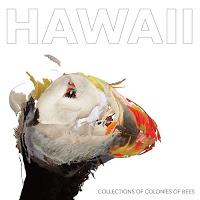 Collections Of Colonies Of Bees, Hawaii