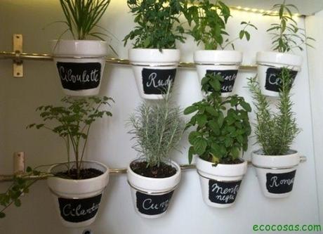 Cómo hacer un huerto de plantas aromáticas y medicinales