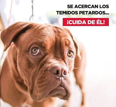 El rey emérito, Juan Carlos I, usaba a Corinna, su amante, “como testaferro para evadir impuestos”.