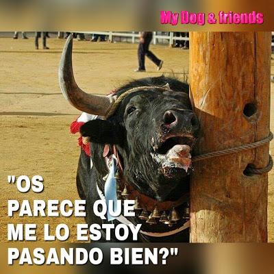 El rey emérito, Juan Carlos I, usaba a Corinna, su amante, “como testaferro para evadir impuestos”.