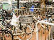 Ocupación bicicletas