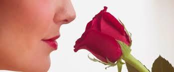 I PROMISE YOU I PROMISE YOU