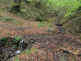 Güel.les-La Col.lá-Felguerúa-Busián-Penedrá