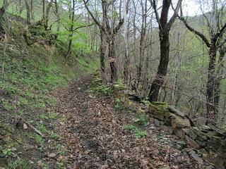 Güel.les-La Col.lá-Felguerúa-Busián-Penedrá