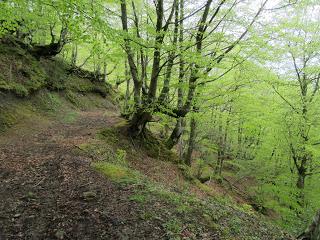 Güel.les-La Col.lá-Felguerúa-Busián-Penedrá