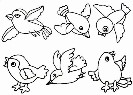 Best Of Bird Coloring Sheet