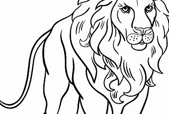 Fresh Simple Lion Coloring Page - Paperblog