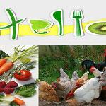 Alimentos de temporada con uso medicinal. Agosto Alimentos de temporada con uso medicinal. Agosto