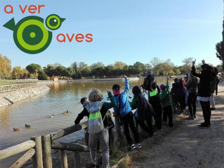 La naturaleza sana; la urbana de Madrid Río también