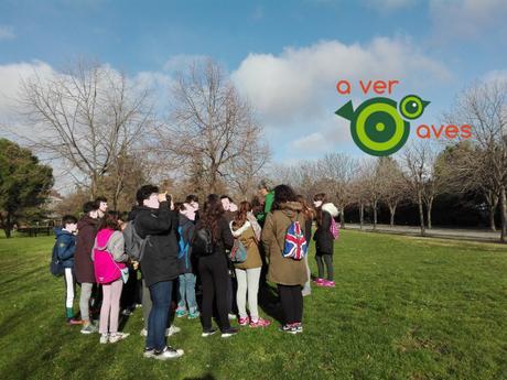 La naturaleza sana; la urbana de Madrid Río también