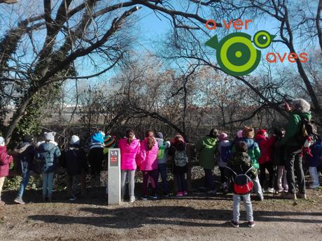 La naturaleza sana; la urbana de Madrid Río también