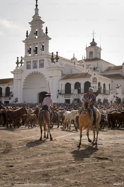 SACA DE YEGUAS 2018. EL ROCÍO-ALMONTE (HUELVA)