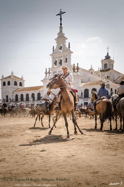 SACA DE YEGUAS 2018. EL ROCÍO-ALMONTE (HUELVA)