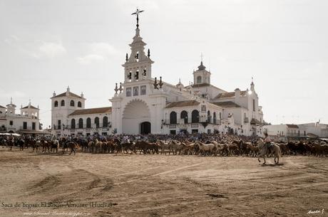 SACA DE YEGUAS 2018. EL ROCÍO-ALMONTE (HUELVA)