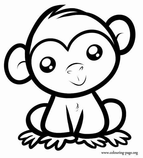 Luxury Monkey Coloring Pages for Preschoolers Luxury Monkey Coloring Pages for Preschoolers