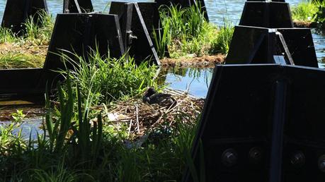 Este jardín flotante de Rotterdam está fabricado con plásticos reciclados recogidos del río