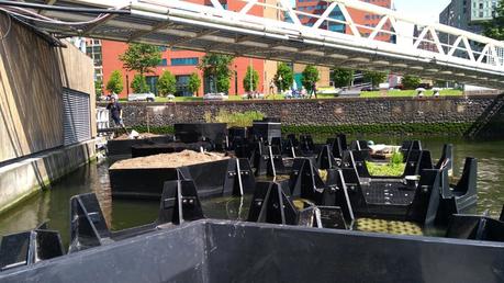 Este jardín flotante de Rotterdam está fabricado con plásticos reciclados recogidos del río