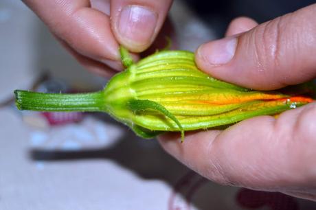 Flores de calabacin rellenas de paté con requesón y hierbabuena