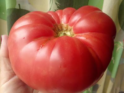 Zumo tomate 