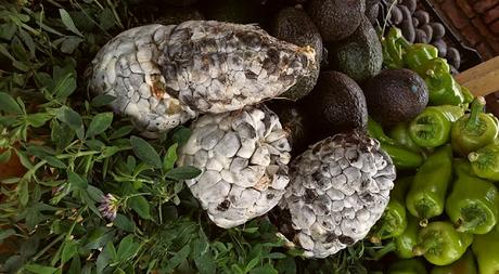 Huitlacoche Huitlacoche