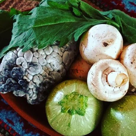 Huitlacoche Huitlacoche