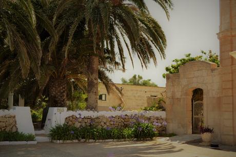 EXPO ALCAUFART - EL EVENTO DEL VERANO EN MENORCA