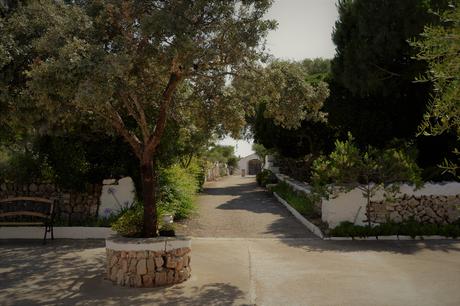 EXPO ALCAUFART - EL EVENTO DEL VERANO EN MENORCA