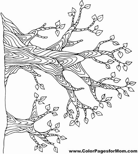 Awesome Coloring Picture Of A Tree