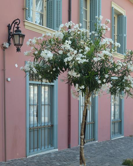 Grecia e Italia - El día a día de un viaje soñado #VPEuropa2018