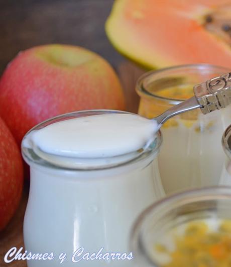 Yogur  cremoso en crock pot