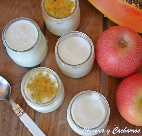 Yogur  cremoso en crock pot