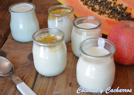 Yogur  cremoso en crock pot