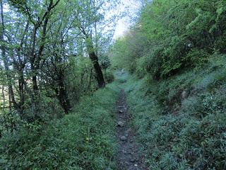 La Romía Riba-Torones-Piedrafita-Escuenas-La Paradiel.la
