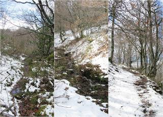 La Romía Riba-Torones-Piedrafita-Escuenas-La Paradiel.la