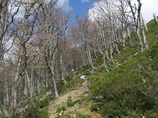 La Romía Riba-Torones-Piedrafita-Escuenas-La Paradiel.la