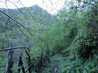 La Romía Riba-Torones-Piedrafita-Escuenas-La Paradiel.la
