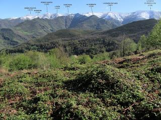 La Romía Riba-Torones-Piedrafita-Escuenas-La Paradiel.la