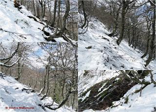 La Romía Riba-Torones-Piedrafita-Escuenas-La Paradiel.la