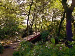 puentes míticos de Los Barrios Puente chico, puente grande