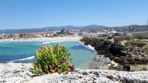 ¿Cuándo son las rutas del atún de la provincia de Cádiz?