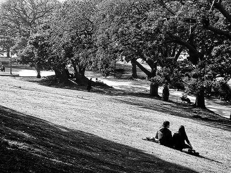Blanco y Negro.Pareja de enamorados sentados en el parque.